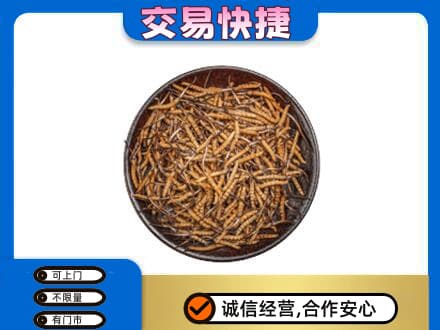 丹东市振安高价回收散虫草